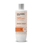Champú Cabello Seco
